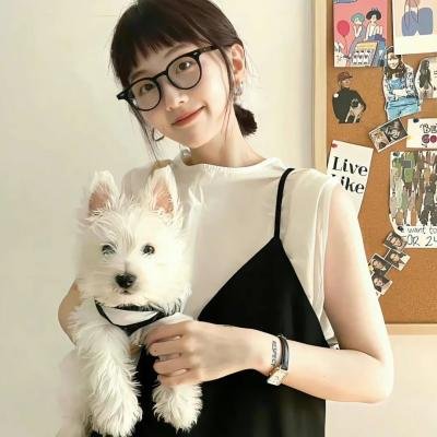少女前线 人形小剧场